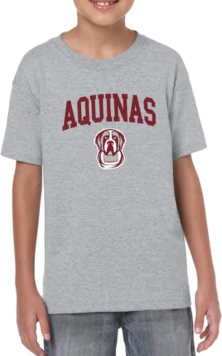 Vista 457 de NCAA Arch Logo, camiseta juvenil color del equipo, universidad - universidad