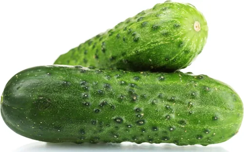 Vista 52 de 50 Hale's Best Cantaloupe Seeds for Planting - Sweet Aromatic Heirloom, Non-GMO, USA Grown by RDR Seeds