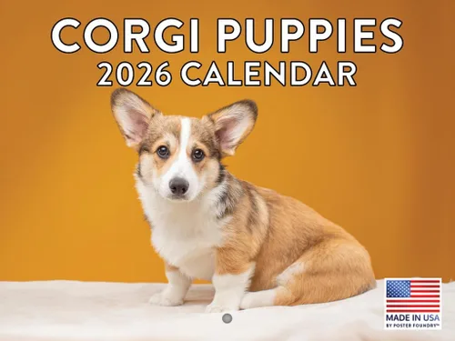 Vista 95 de Calendario mensual de pared Airedale Terrier Dog 2027 rojo (Airedale Terrier)