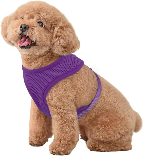 Vista 27 de MoNiBloom Arnés para perro de tamaño pequeño, chaleco acolchado suave para cachorros para caminar, correr, entrenar - negro, XS