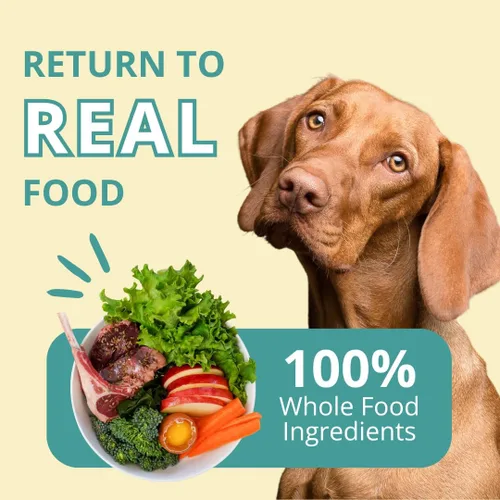 Vista 5 de Steve's Real Food Nuggets crudos liofilizados - Receta de Lamu - Alimento crudo para mascotas para perros y gatos - 20 oz