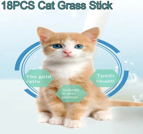 Vista 4 de 18 palitos de dentición de hierba de gato, palitos para masticar hierba de gato, palo de hierba de gato, limpieza de dientes de gato, varillas