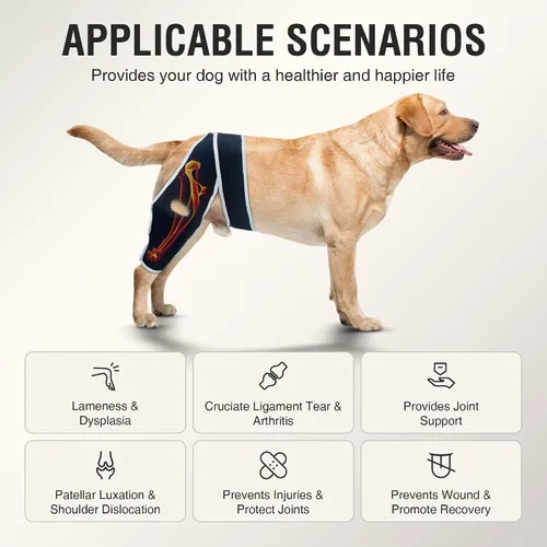 Vista 2 de Rodillera para perros pequeños, estabilidad de rodilla y soporte activo, talla S Provides comfortable knee support for dogs with joint weakness