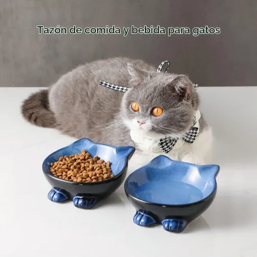 Vista 4 de Nihow Cuencos básicos de cerámica para gatos: cuenco para gatos de 5 Azul & negro