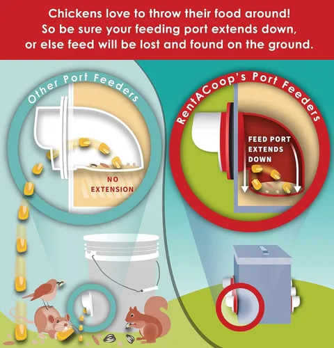 Vista 4 de RentACoop Alimentador de pollo de un solo puerto sin BPA de tiro alto de 10 libras, incluye tapa anti-gallina, capucha de lluvia y accesorios