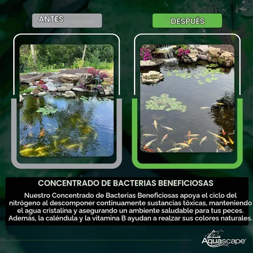 Vista 5 de Aquascape - Bacterias secas y beneficiosas para las características del estanque y del agua., Blanco