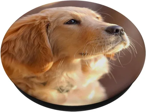 Vista 2 de Golden Retriever Puppy – PopSockets Grip y soporte para teléfonos y tabletas
