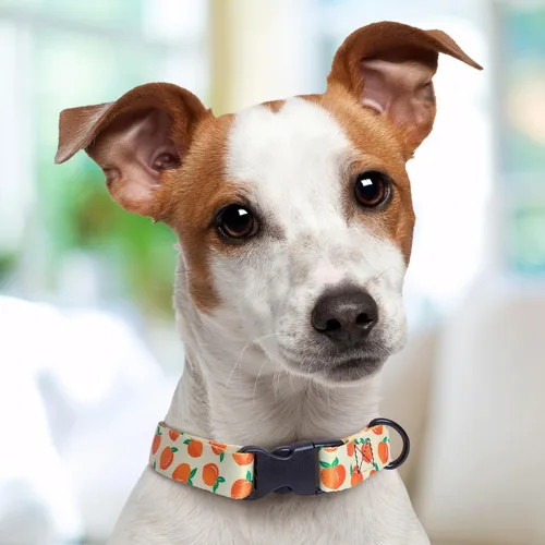 Vista 5 de Peaches Dog Collar Personalized (X-Small 5/8")