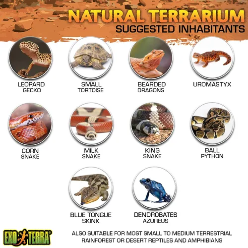 Vista 5 de Kit de terrario de vidrio Exo Terra, para reptiles y anfibios, Nano, 8 x 8 x 8 pulgadas, PT2599A1