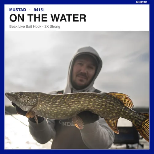 Vista 10 de Mustad O Shaughnessy Live Bait