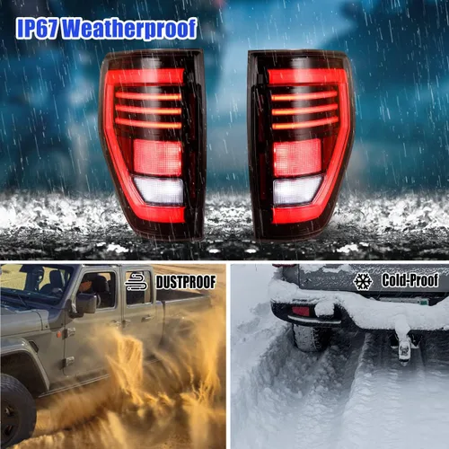Vista 8 de ROXX Luces traseras para Ford F150, conjunto de luces traseras secuenciales LED para Ford F150 2009 2010 2011 2012 2013 2014