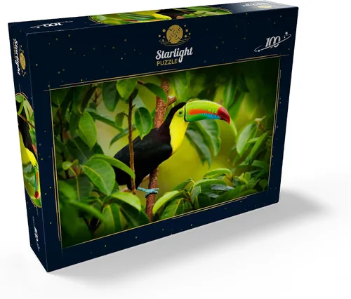 Vista 2 de MyPuzzle Costa Rica Wildlife - Tucán sentado en la rama en el bosque - Rompecabezas premium de 100 piezas para adultos