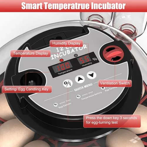 Vista 6 de Incubadora de 12 huevos con control de temperatura, pantalla de humedad, girador automático de huevos y vela, recarga automática de botella de agua
