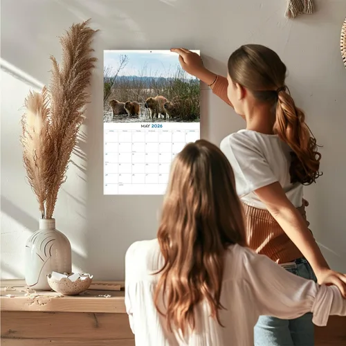 Vista 225 de Calendario de grises africanos 2025 2026 – Planificador mensual de pared de aves africanas – 12 x 18 pulgadas (abierto), calendario de pared