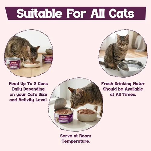 Vista 28 de Beefeaters Chicken Pate - Alimento húmedo para gatos, 3 onzas (paquete de 24 unidades), alimento húmedo para adultos con taurina, alimento húmedo