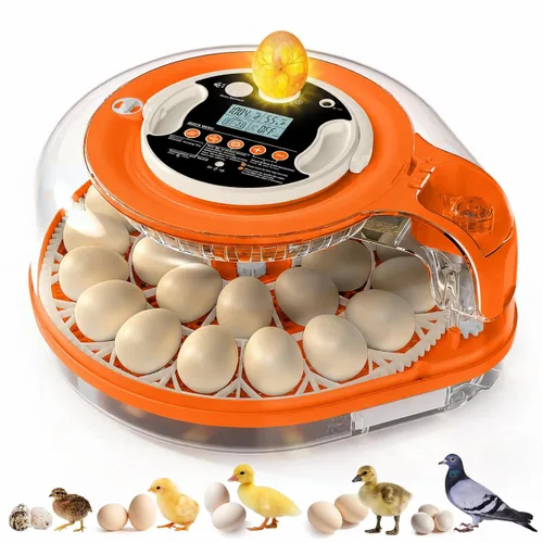 Vista 8 de Incubadoras para incubar huevos 3 en 1 Incubadora de aves de corral totalmente automática Control automático de temperatura y humedad, giro Beige