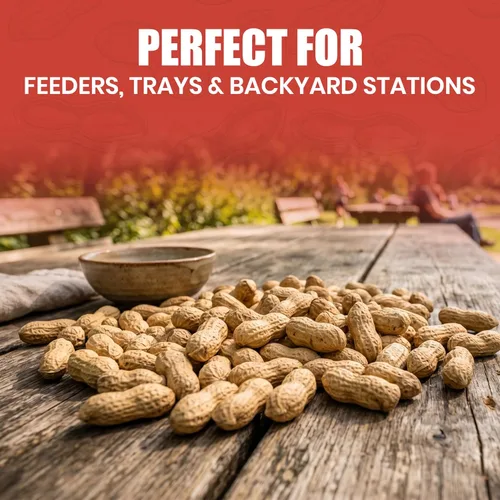 Vista 4 de We Got Nuts Raw in-Shell Peanuts, USA Grown, Unsalted, 5 LBs (80oz) - Natural Whole Peanuts for Birds, Squirrels & Backyard Wildlife and Humans