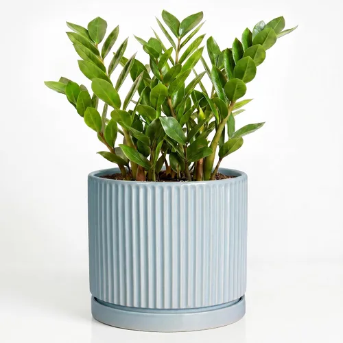 Vista 64 de 8 Inch Flower Pot, Ceramic Planters, Round Plant Pot, Beige