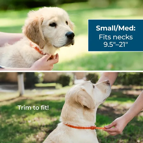 Vista 4 de Wondercide Collar para perro con aceites esenciales naturales, protección 1 collar