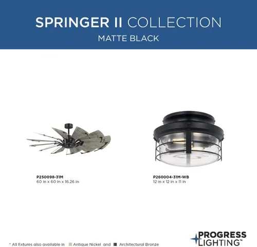 Vista 8 de Progress Lighting Springer II Collection - Kit de luces rústicas color negro mate (P260004-31M-WB)