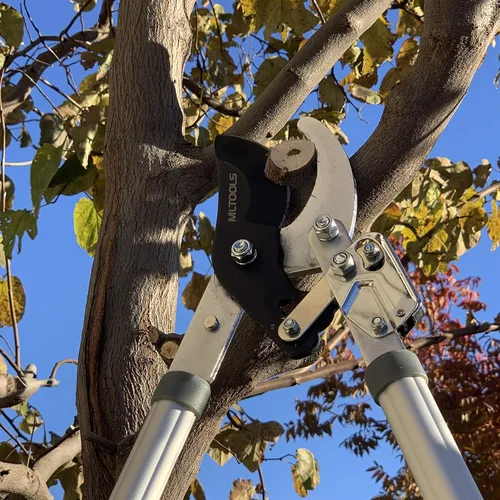 Vista 6 de MLTOOLS L8230 - L8230 - L8230 - Lopper extensible de 39.5 pulgadas para jardinería, mango largo extensible de 39.5 pulgadas, corta ramas de 1-3/4