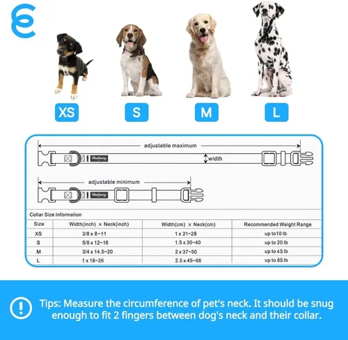 Vista 9 de Blueberry Pet Essentials - Collar para perros pequeños a juego, ajustable, clásico, de nailon, color sólido, para perros pequeños, collar