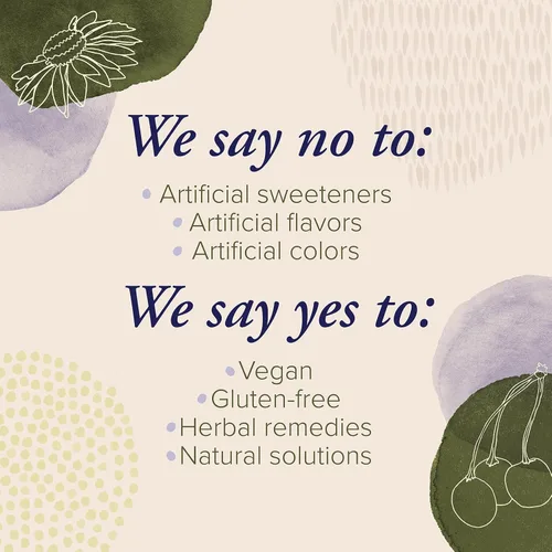 Vista 4 de Gomitas de inmunidad de saúco con zinc y vitamina C de ZAND - Suplemento de apoyo inmunológico - Gomitas de saúco con DV de zinc y vitamina C