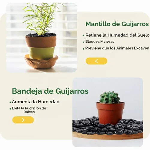 Vista 6 de GreatBuddy Rocas de río negro de 15 libras para paisajismo, guijarros negros pulidos de 1-2 pulgadas, rocas decorativas para plantas