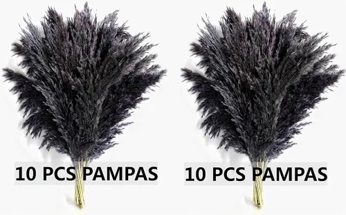Vista 3 de Zacate de las Pampas Negro para Decoración del Hogar - Elegante Decoración Boho - Tallos de Alta Calidad de Zacate de las Pampas - Perfecto