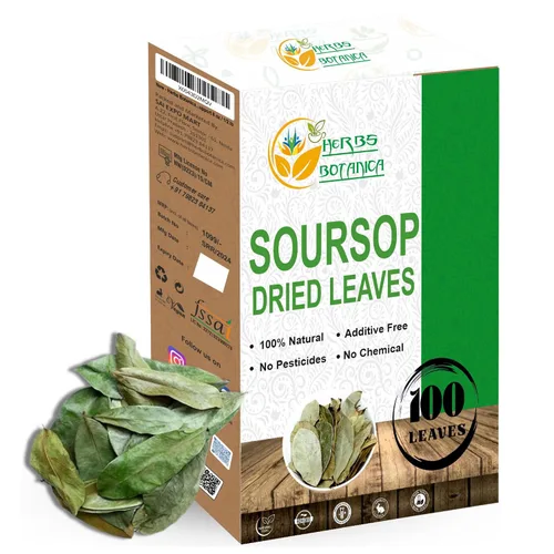Vista 15 de Herbs Botanica Angelica Root - Hierba angélica de corte suelto y tamizado Ángel de hierbas Angelica Archangelica para té de hierbas, para hornear