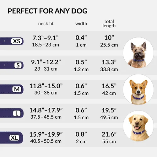 Vista 5 de CollarDirect - Collar de cuero enrollado para perro, collar redondo acolchado suave para cachorro, collar de cuero auténtico hecho a mano