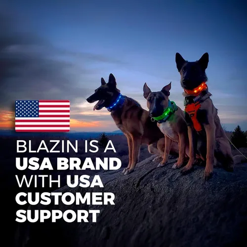 Vista 8 de Blazin - Collares luminosos para perros, collar led original para perros con 1,000 pies de visibilidad, recargable mediante USB e impermeable