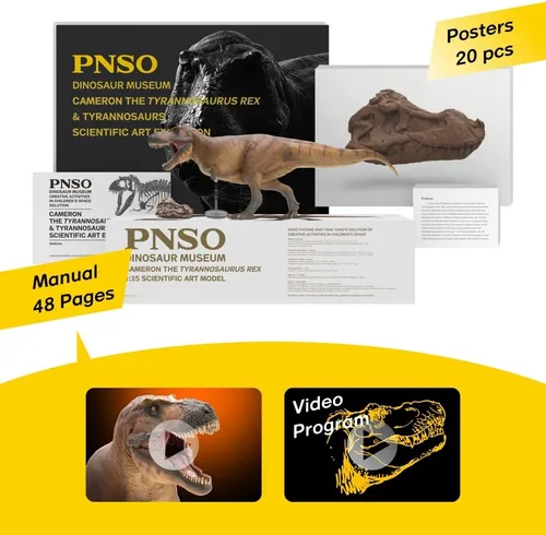 Vista 3 de Serie de Museos de Dinosaurios PNSO: Cameron el Tiranosaurio Rex T. Rex Exhibit Set de 13.8" - Modelo de fósil de calavera - Mandíbula de apertura