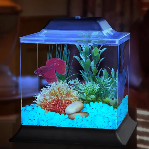 Vista 5 de Piedras decorativas que brillan en la oscuridad para exteriores, 1000 piezas blancas que brillan en azul, pequeños guijarros luminosos para jardín