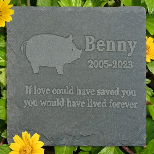 Vista 2 de Regalo de piedra conmemorativa para mascotas, lápida conmemorativa de jardín, marcador de tumba de toro, lápida de condolencia, regalo personalizado