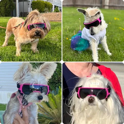 Vista 2 de Gafas de sol para perros de razas pequeñas, protección UV, resistente al viento, antivaho, al aire libre, ciclismo, playa, protección ocular