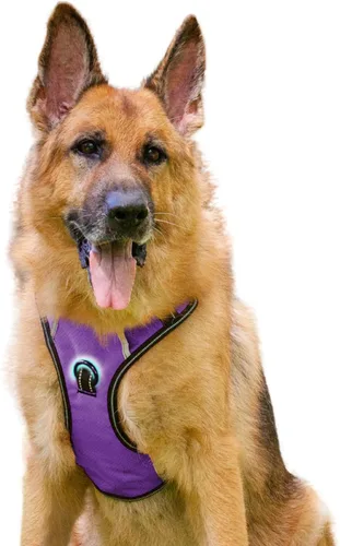 Vista 33 de Arnés antitirones para perro pequeño con 2 hebillas de liberación rápida y mango de fácil control, chaleco suave reflectante sin estrangulamiento