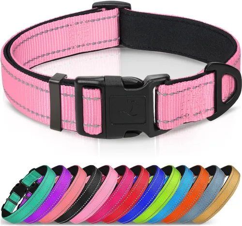 Vista 14 de Joytale - Collar reflectante para perro, collar de nailon transpirable con acolchado de neopreno suave para mascotas, ajustable para cachorros