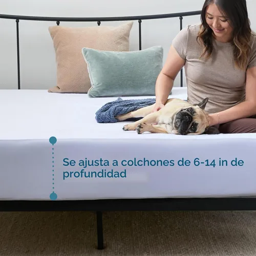 Vista 5 de Lucid Protector