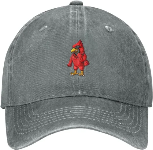 Vista 2 de Gorra de béisbol Angry Red Bird para hombres y mujeres, sombrero de vaquero vintage para adultos, Gris