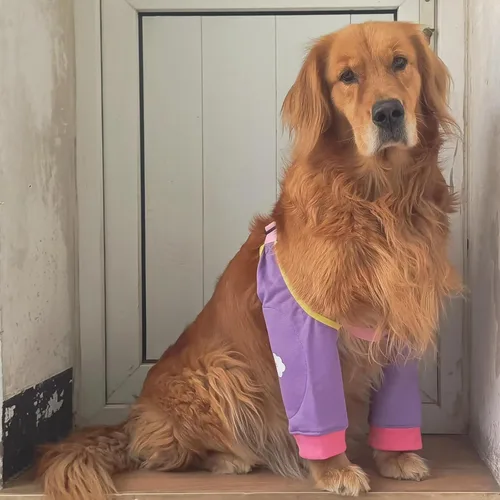 Vista 6 de Codera de perro para callos, manga de pierna delantera de perro para dejar de lamer, protector de codo de perro ajustable para protección de heridas