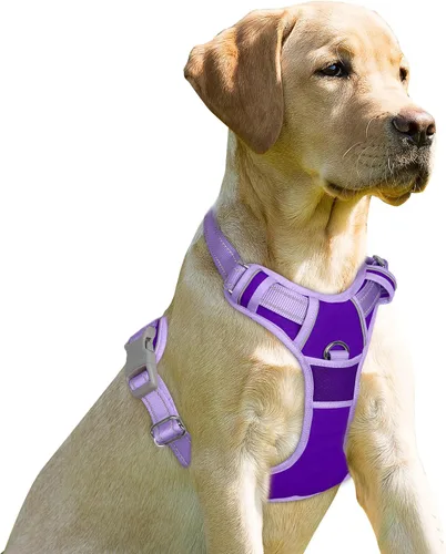 Vista 203 de BARKBAY - Arnés para perro sin tirones con clip frontal, material resistente y reflectante, asa de fácil control para pasear perros grandes
