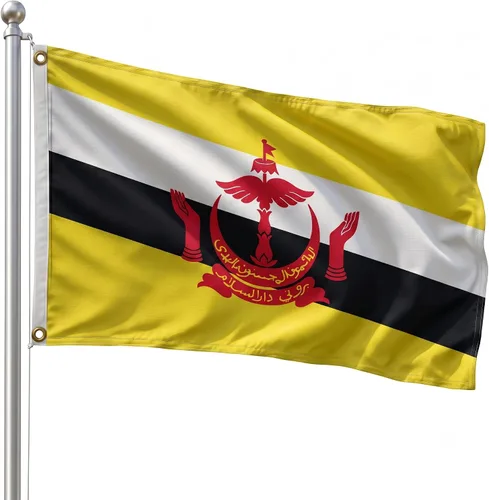 Vista 172 de DMSE - Bandera nacional beninesa beninesa de la República de África Occidental, 2 x 3 pies, 100 % poliéster, 100 % poliéster, resistente a los rayos