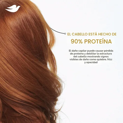 Vista 9 de Dove Champú Nutritive Solutions Daily Moisture hidratante para cabello seco, 12 onzas líquidas (4 unidades)