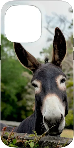 Vista 21 de Funda Donkey para iPhone 17