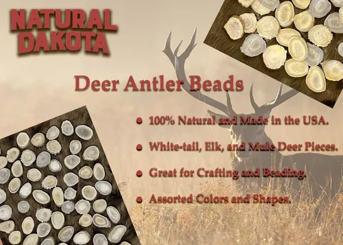 Vista 5 de Cuernas/rebanadas de cuernos de ciervo Dakota natural (manualidades, fabricación de joyas, suministros de reborde) (pequeño)