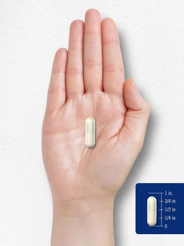 Vista 7 de Carlyle MSM Suplemento Cápsulas 500mg 200 unidades Fórmula sin OMG y sin gluten Metilsulfonilmetano