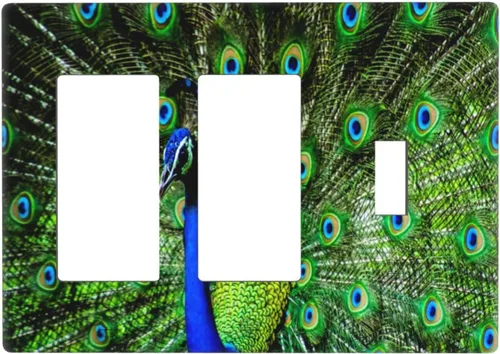Vista 19 de Cubierta decorativa para toma de corriente de pavo real, cubierta de salida de 1 banda, cubierta de placa de interruptor de luz, placas
