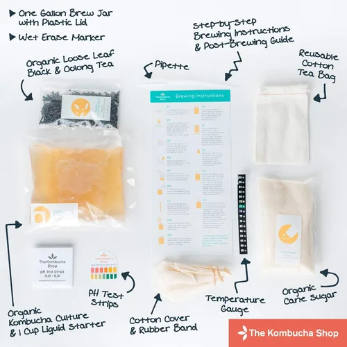 Vista 4 de The Kombucha Shop, Kit de inicio de Kombucha con envoltura térmica prémium