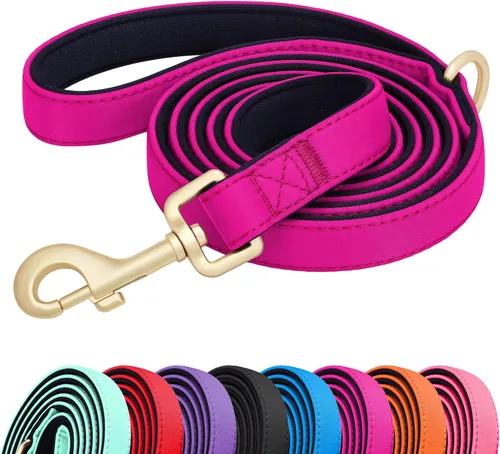 Vista 11 de Didog Correa para perro de nailon colorido de 5 pies con acolchado suave de longitud completa, ligera y duradera para perros pequeños, negro, S